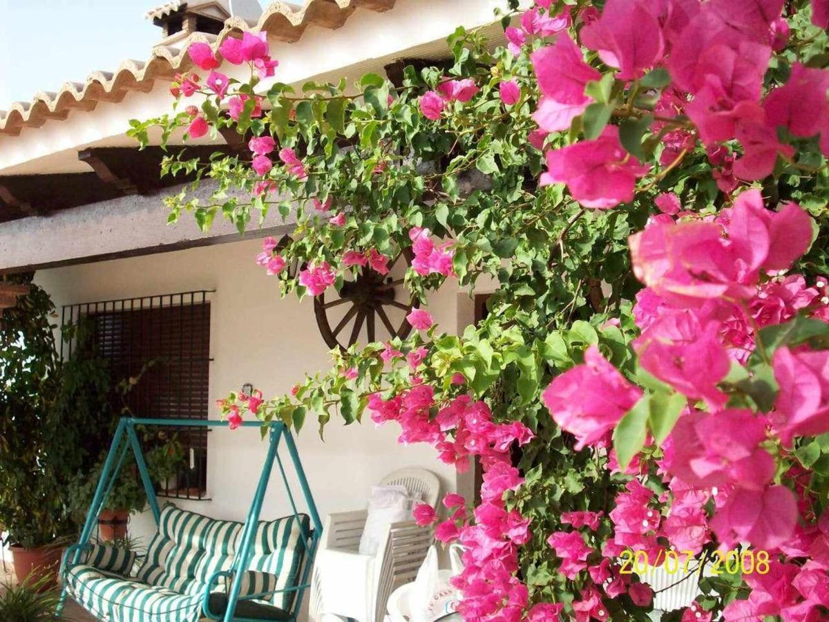 Mirador De La Era Guest House Valle de Abdalagis Ngoại thất bức ảnh