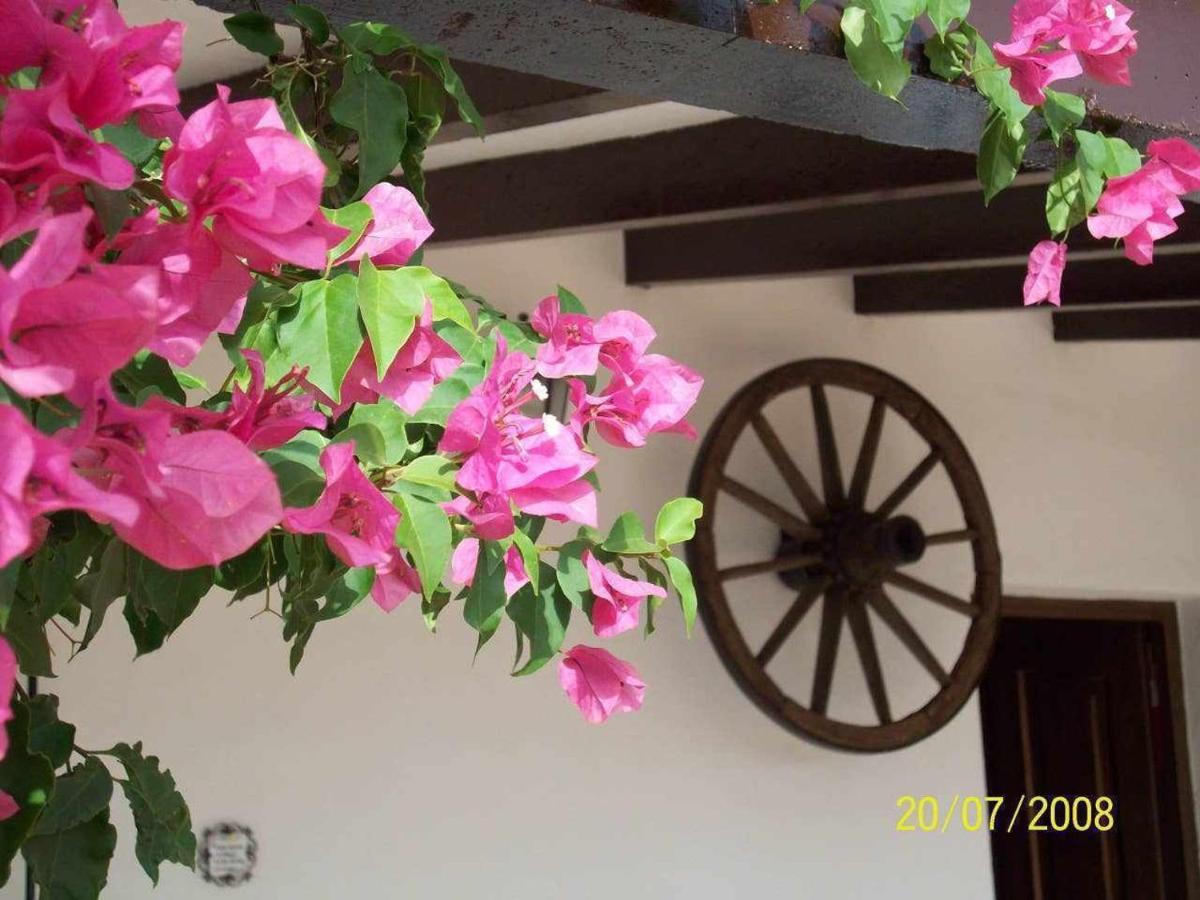 Mirador De La Era Guest House Valle de Abdalagis Ngoại thất bức ảnh
